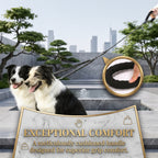 Heavy-Duty Reflective Dual Dog Leash Set – Tangle-Free Double Bungee Extension with Comfortable Padded Handle for 2 Dogs
