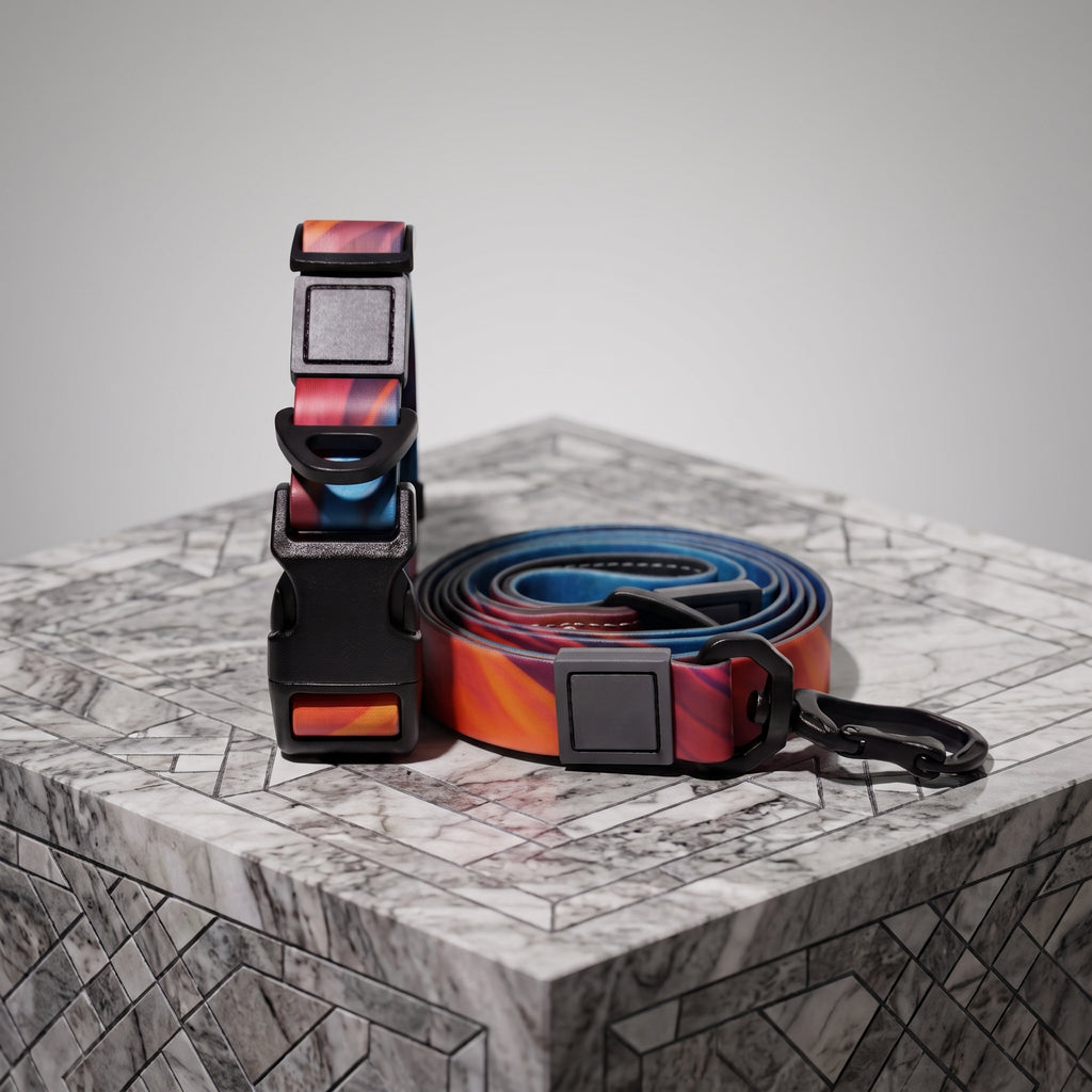 Fashionable Printed Dog Collar and Leash Set - Waterproof PVC Material, Adjustable & Durable - Suitable for Small, Medium, and Large Dogs