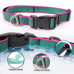 Waterproof Coated PVC Dog Collar with Integrated Control Handle