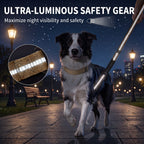 Premium Nylon 2-in-1 Reflective Khaki Tactical Design Car Leash with Shock-Absorbing Bungee, Dual Handles, and Frogtongue Buckle - For Medium to Large Dogs