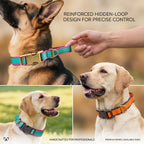 Waterproof Coated PVC Dog Collar with Integrated Control Handle