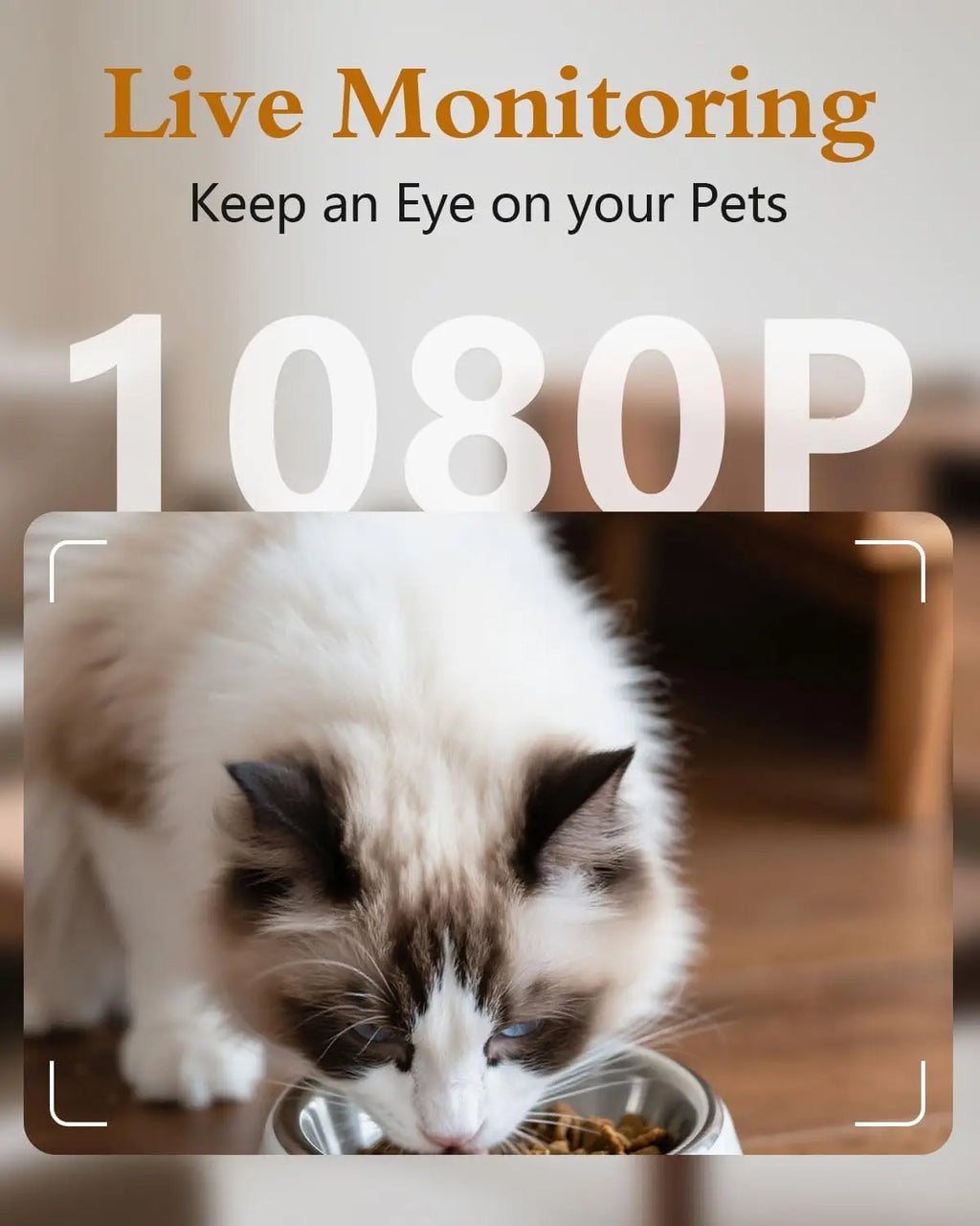 ValuTail™ 5G WiFi Smart Pet Feeder with 1080P HD Camera & Night Vision
