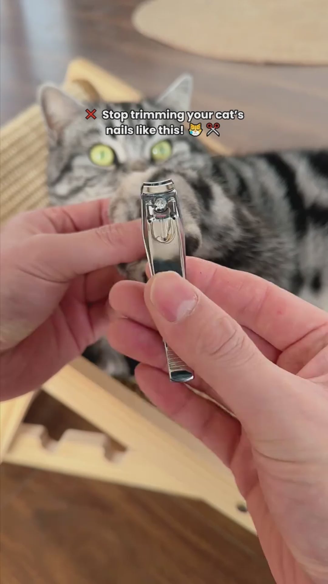 ValuTail™ 2-in-1 Pet Nail Trimmer & LED Grinder