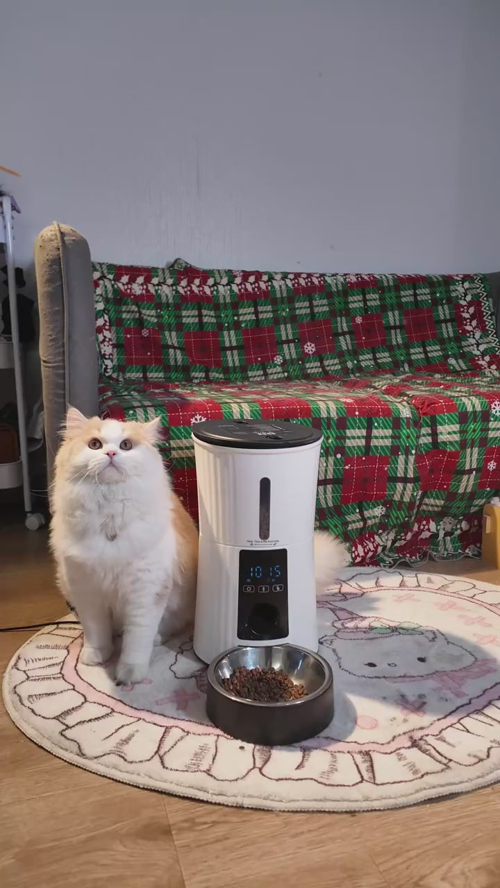4L Smart Pet Feeder - Automatic Food Dispenser with LCD, APP, & Scheduled Feeding for Dogs and Cats